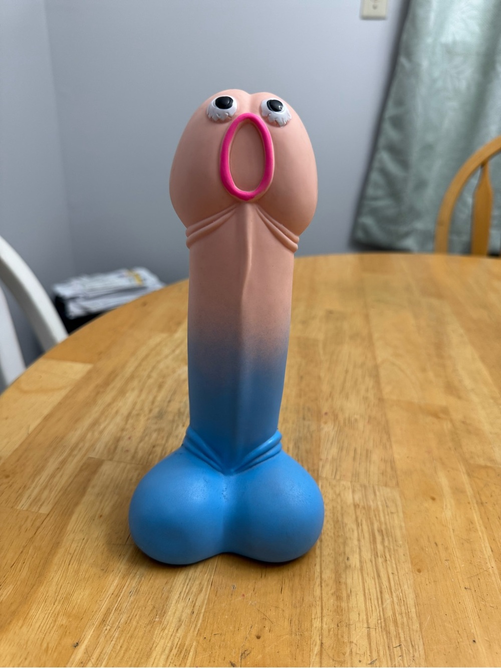 Novelty Squeaky Toy - Pink to Blue Gradient